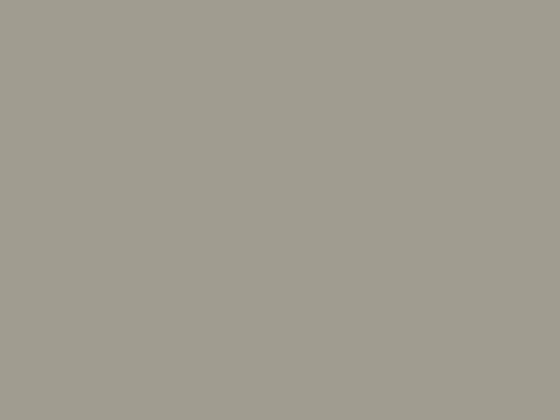 สี Sandy Brown