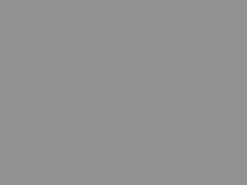 สี Sandy Grey